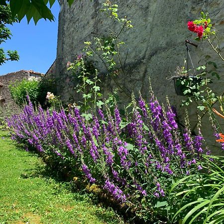 Bed and Breakfast The Cool Lounge A Coulonges - Charente Экстерьер фото