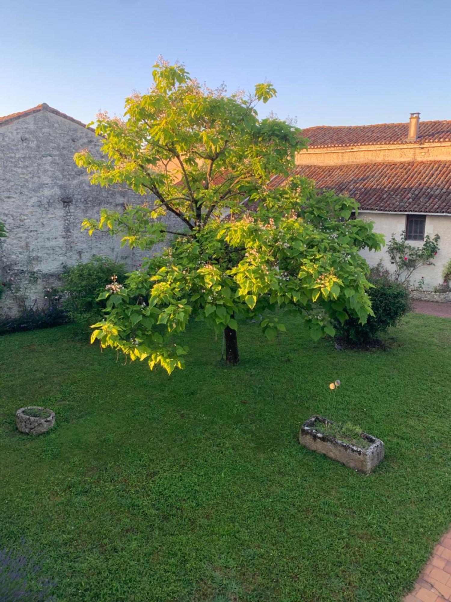 Bed and Breakfast The Cool Lounge A Coulonges - Charente Экстерьер фото
