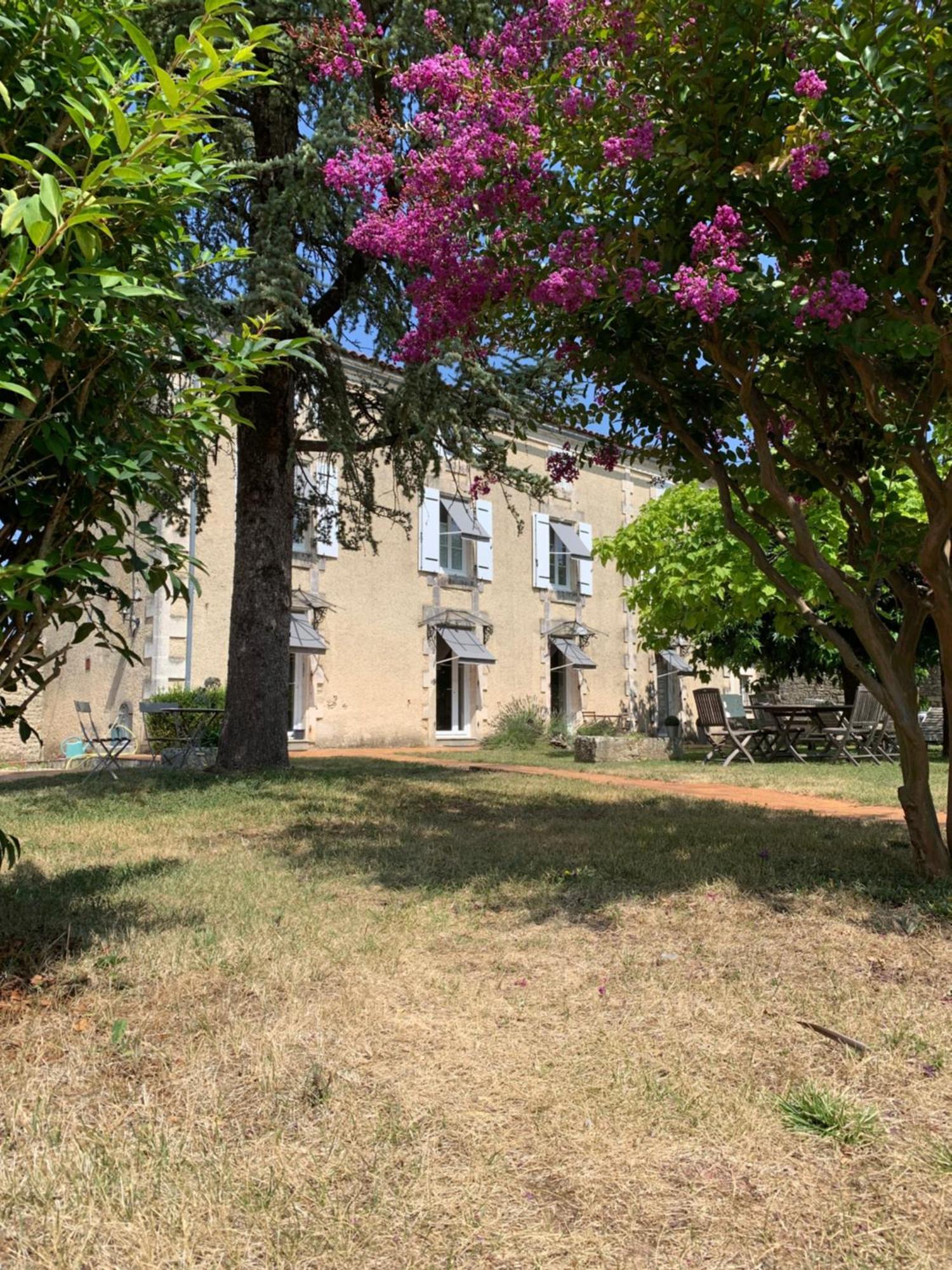 Bed and Breakfast The Cool Lounge A Coulonges - Charente Экстерьер фото