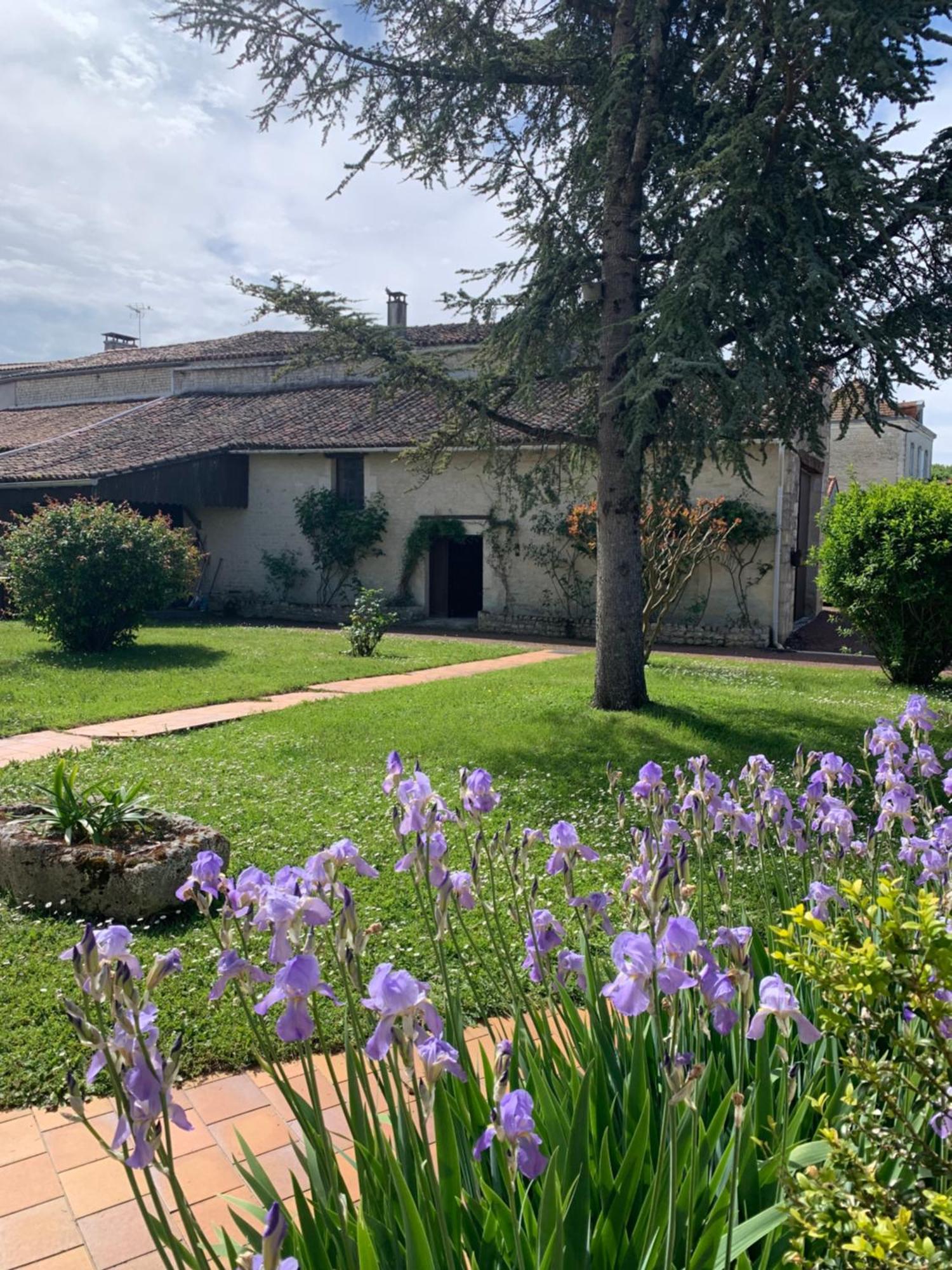 Bed and Breakfast The Cool Lounge A Coulonges - Charente Экстерьер фото
