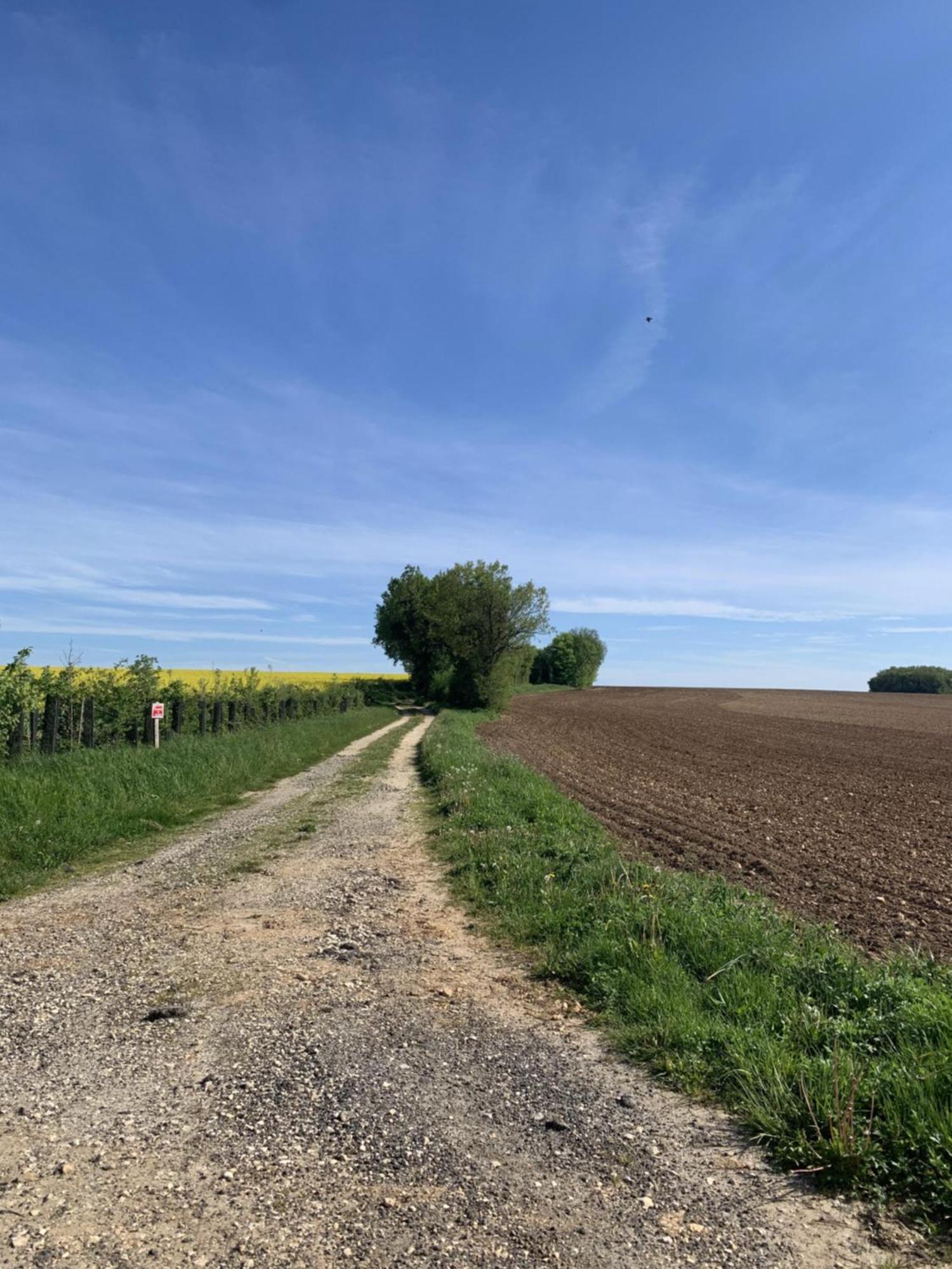Bed and Breakfast The Cool Lounge A Coulonges - Charente Экстерьер фото