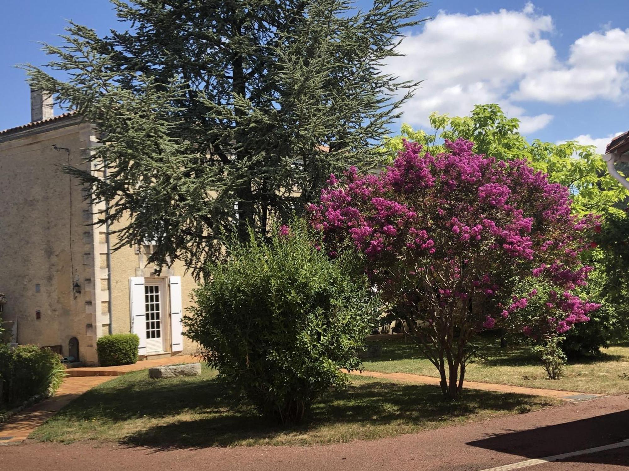 Bed and Breakfast The Cool Lounge A Coulonges - Charente Экстерьер фото